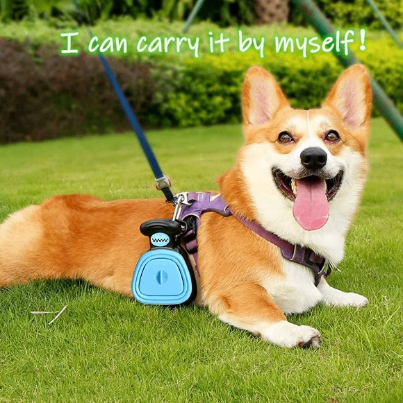 CleanWalk™