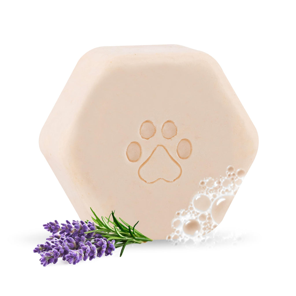 Natural Dog Shampoo Bar Lavender & Vanilla | Colloidal Oatmeal for Sensitive Skin