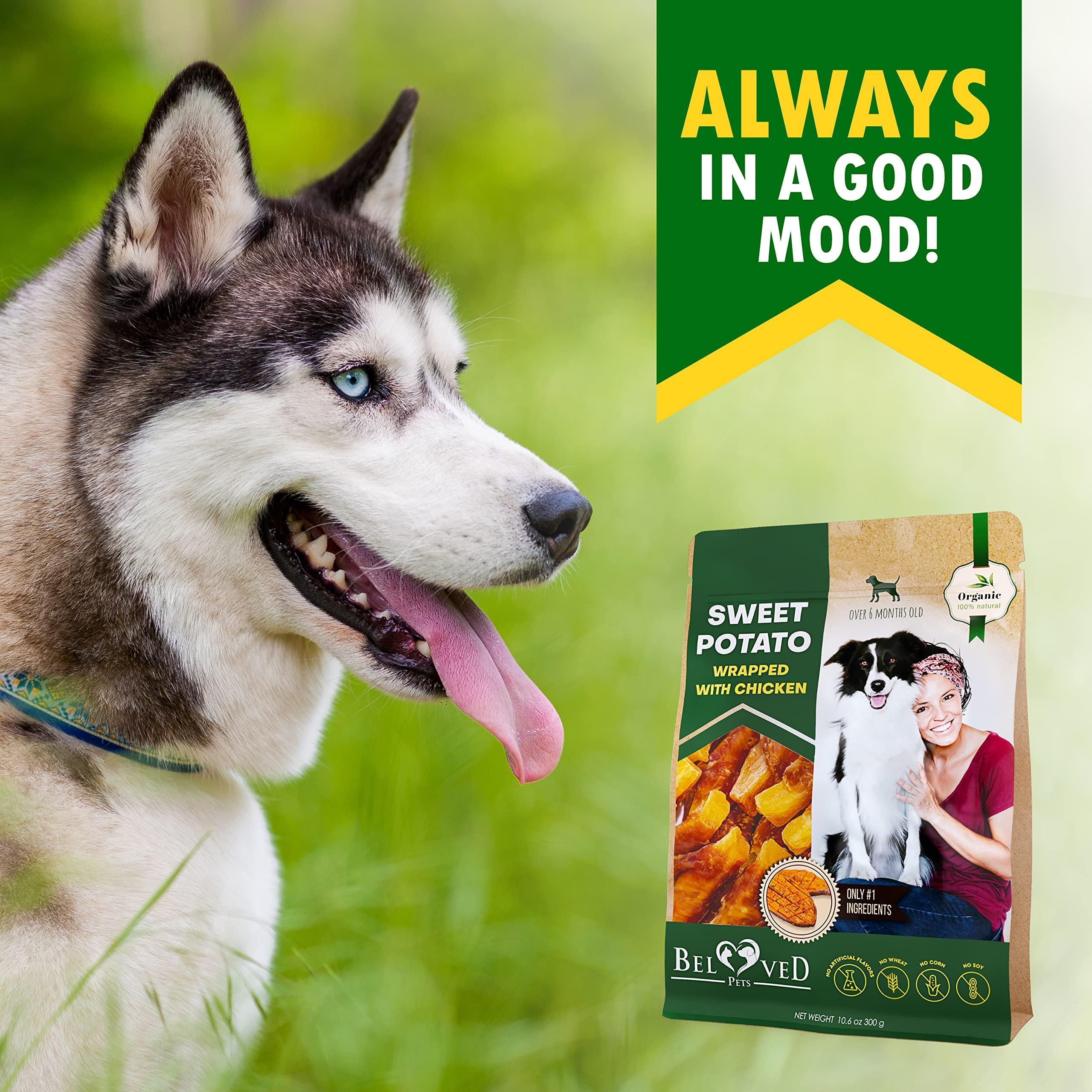 Batata Envuelta en Pollo para Perros | Masticable Natural Sin Granos | Snack Saludable