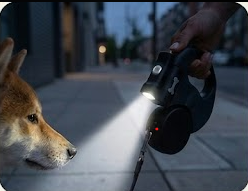 NoTangle - Pasea 2 Perros Sin Enredos
