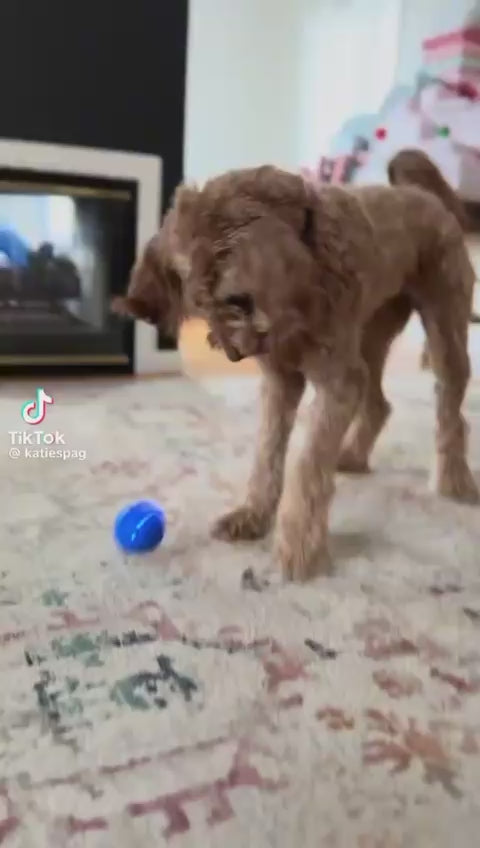 PlayBall - Juguete Inteligente Para Mascotas